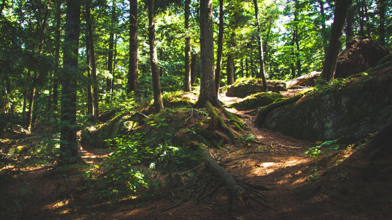 Meyer Werft Papenburg